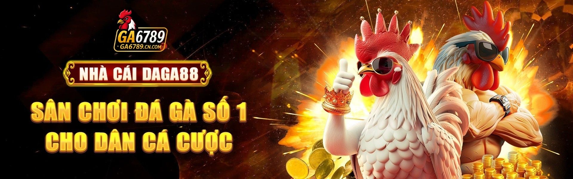 banner 2025 12 27T215626.368