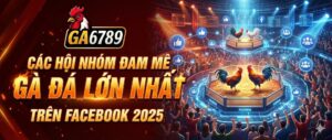 cac-hoi-nhom-dam-me-ga-da-lon-nhat-tren-facebook-2025