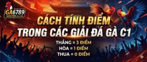 cach-tinh-diem-trong-cac-giai-da-ga-c1