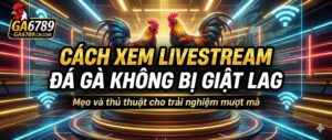 cach-xem-livestream-da-ga-khong-bi-giat-lag