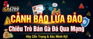 canh-bao-cac-chieu-tro-lua-dao-ban-ga-da-qua-mang