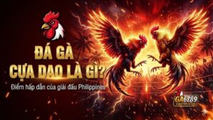 da-ga-cua-dao-la-gi-diem-hap-dan-cua-giai-dau-philippines