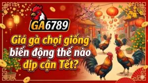 gia-ga-choi-giong-bien-dong-the-nao-dip-can-tet