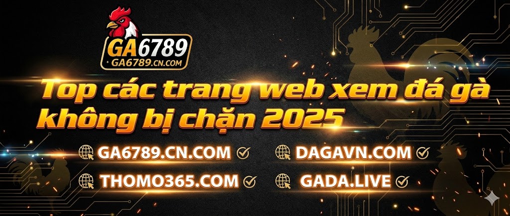 top-cac-trang-web-xem-da-ga-khong-bi-chan-2025