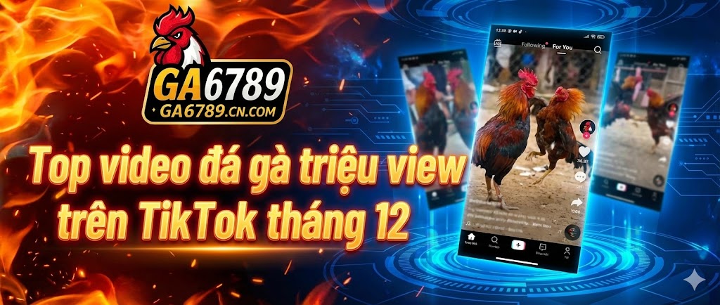 top-video-da-ga-trieu-view-tren-tiktok-thang-12
