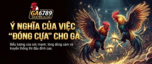 y-nghia-cua-viec-dong-cua-cho-ga